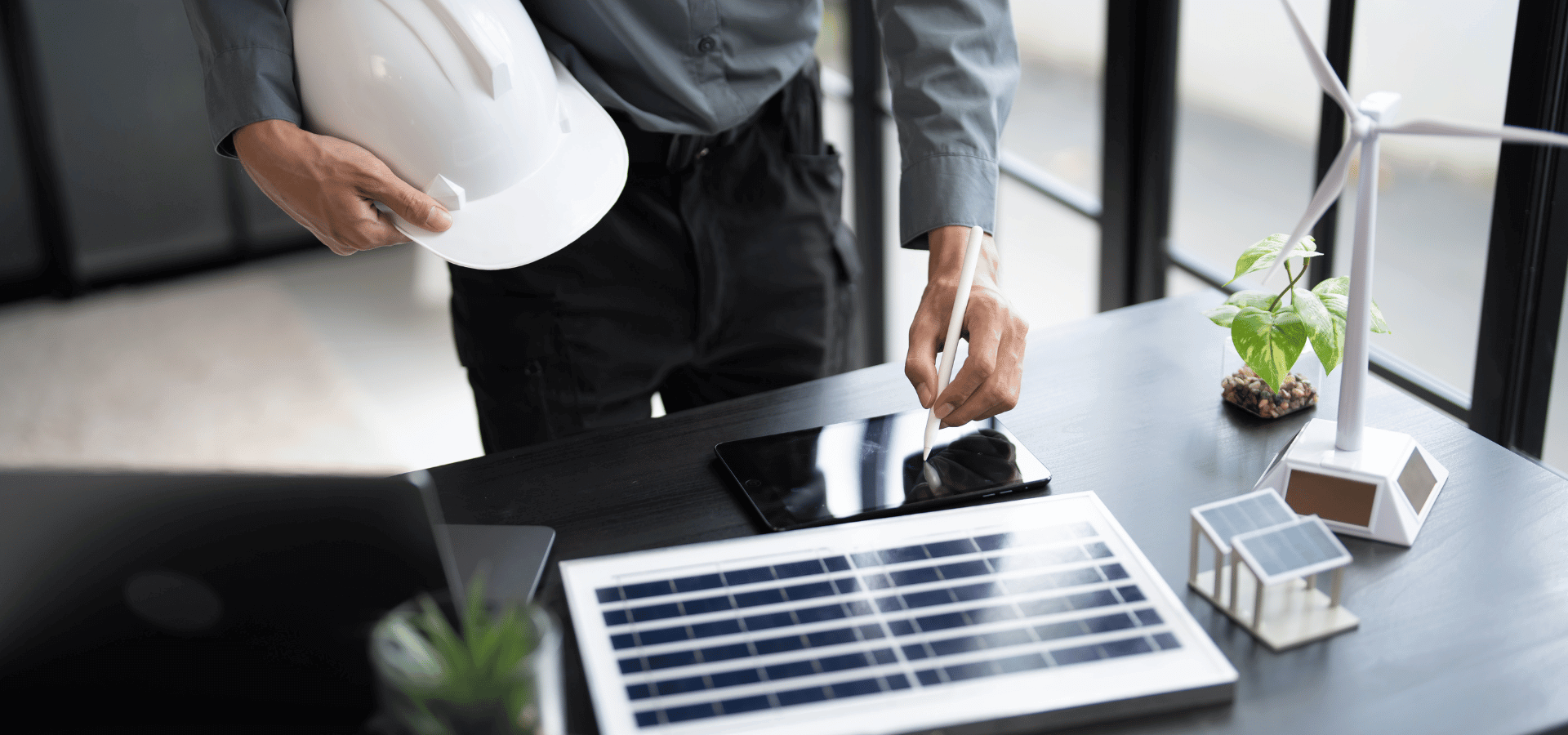 GREEN ENERGY AND BIODIVERSITY