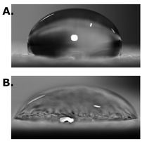 Innovativo materiale isolante a base vegetale