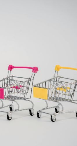 immagine progetto lombardia 2030