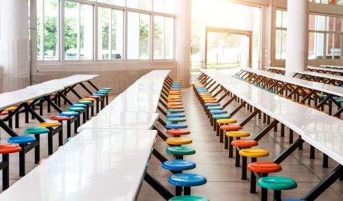 Immagine della notizia