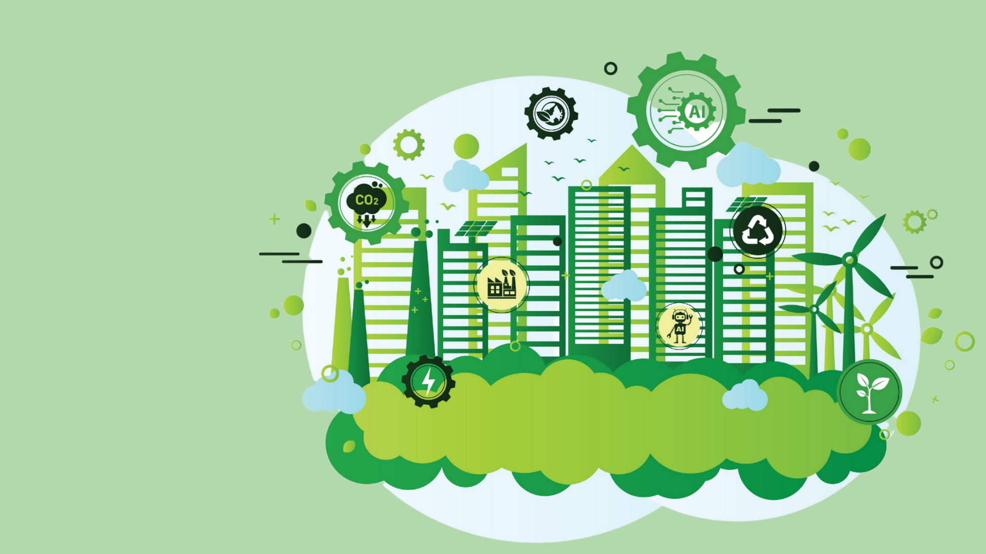 Immagine del carousel