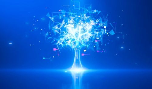 Immagine della notizia