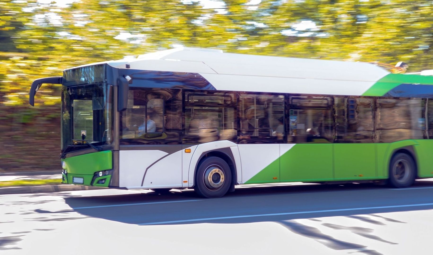 Immagine della notizia