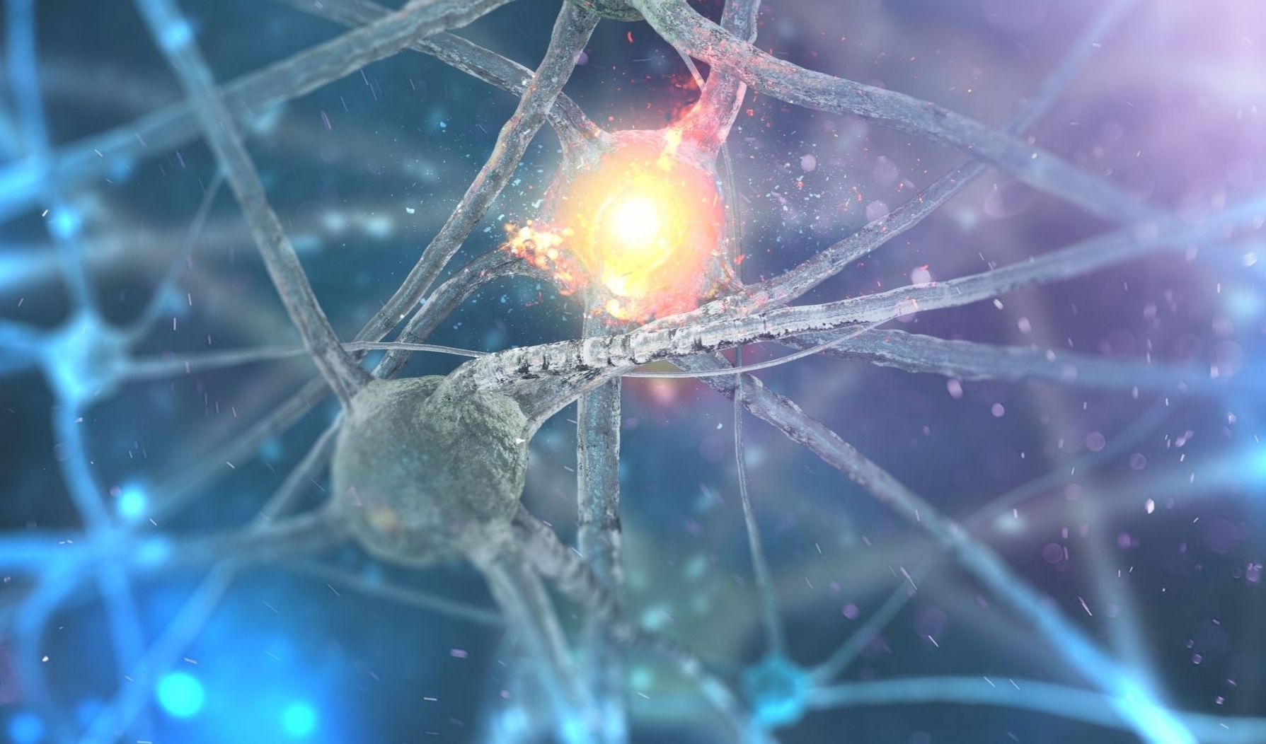 Immagine della notizia