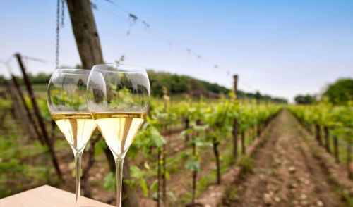 Immagine della notizia