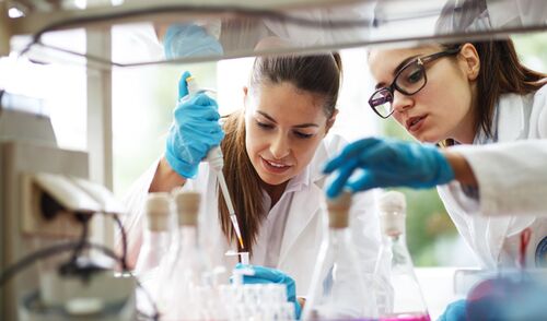 Immagine della notizia