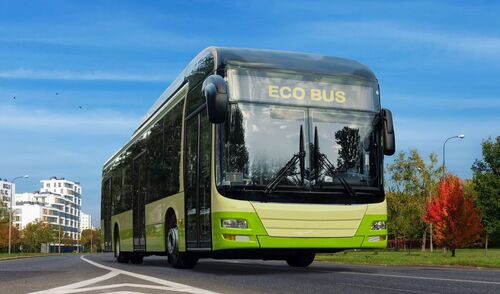 Immagine della notizia