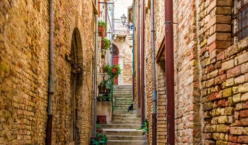 Immagine della notizia